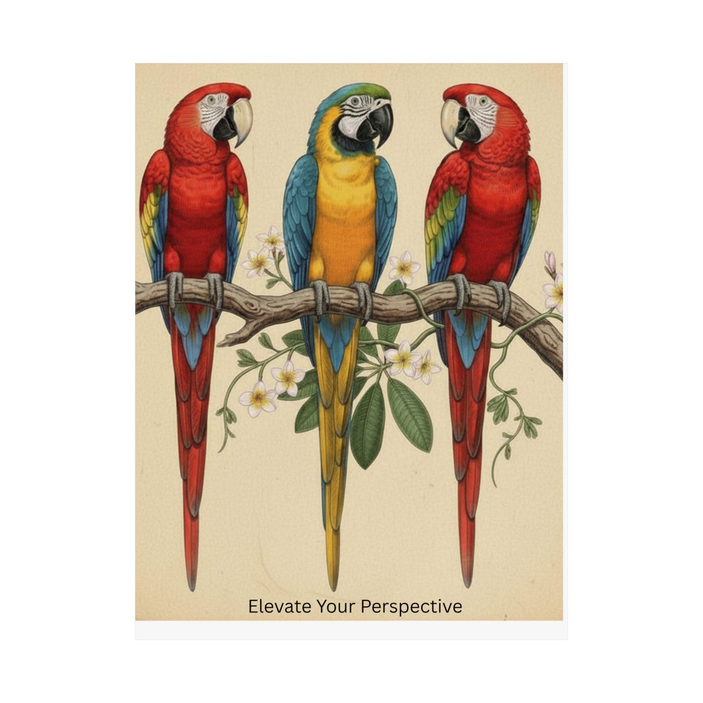 Elevate Your Perspective Macaw Poster — Three Tropical Parrots Wall Art Print Nature Bird Lover Gift