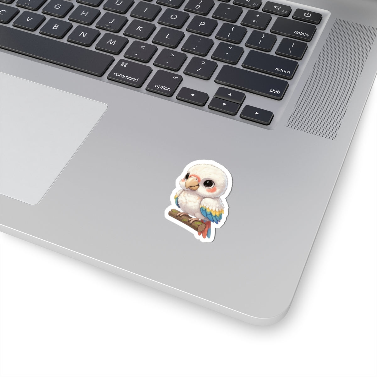 Baby Macaw Chick Sticker — Adorable Sun Conure Bird Kiss-Cut Decal for Laptops & Water Bottles